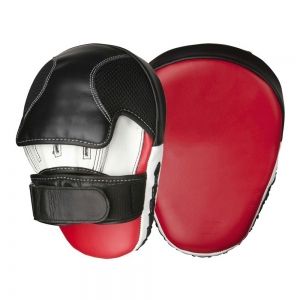 Boxing Mitts