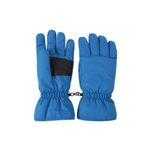 Ski Gloves